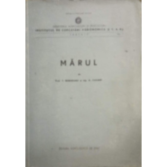 MARUL