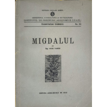 MIGDALUL