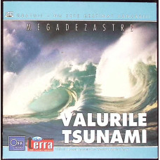 DVD: VALURILE TSUNAMI