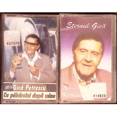 SET 2 CASETE AUDIO MUZICA GICA PETRESCU