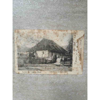 CARTE POSTALA CIRCULATA, SEMNATA - SUVENIR DIN VALENII DE MUNTE. 1905