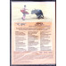 DVD: SPANIA - TARAMUL INSORIT
