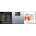 LOT 3 CD-URI MUZICA 