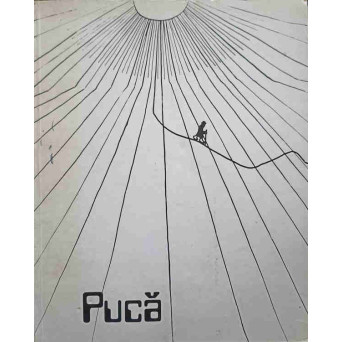 FLORIN PUCA. ALBUM GRAFICA