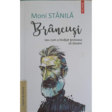 BRANCUSI SAU CUM A INVATAT TESTOASA SA ZBOARE