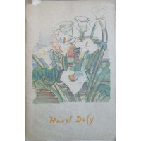 RAOUL DUFY. MIC ALBUM DE PICTURA RAOUL DUFY. MIC ALBUM DE PICTURA