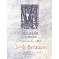 DESTAINUIRI SENTIMENTALE