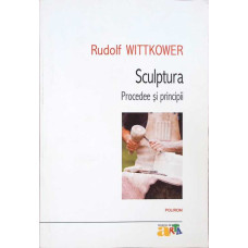 SCULPTURA. PROCEDEE SI PRINCIPII