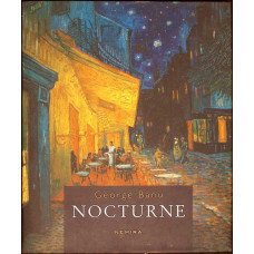 NOCTURNE - PICTURA SI TEATRU