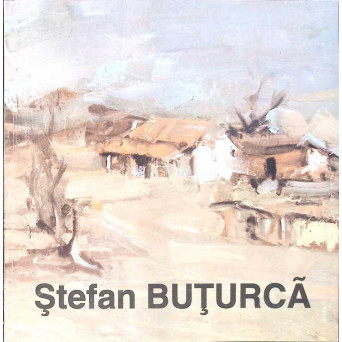 STEFAN BUTURCA - PICTURA