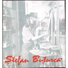 STEFAN BUTURCA - PICTURA