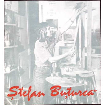 STEFAN BUTURCA - PICTURA