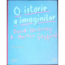 ISTORIA IMAGINILOR. DE LA PICTURA RUPESTRA LA ECRANUL DE COMPUTER