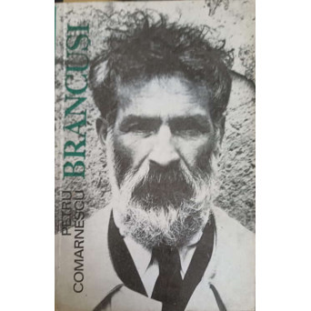 BRANCUSI. MIT SI METAMORFOZA IN SCULPTURA CONTEMPORANA