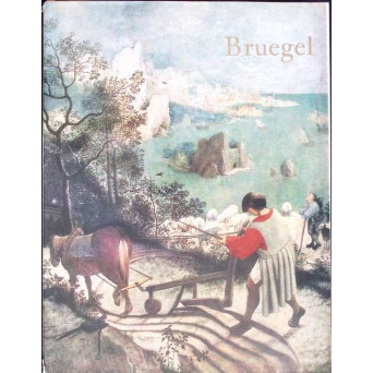 BRUEGEL. ALBUM DE PICTURA