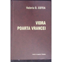VIDRA POARTA VRANCEI VIDRA POARTA VRANCEI