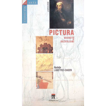 PICTURA SECRETE SI DEZVALUIRI