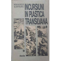 INCURSIUNI IN PLASTICA TRANSILVANA INCURSIUNI IN PLASTICA TRANSILVANA