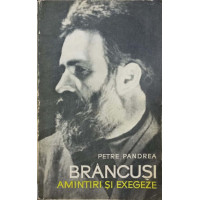 BRANCUSI, AMINTIRI SI EXEGEZE