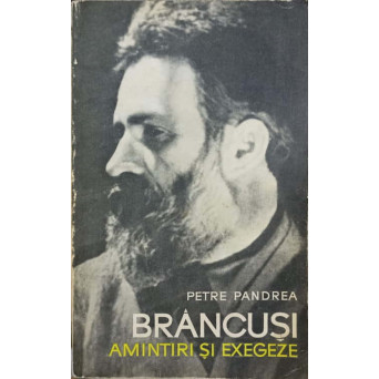 BRANCUSI, AMINTIRI SI EXEGEZE