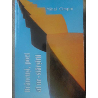 BRANCUSI, POET AL NE-SFARSIRII. ESEU
