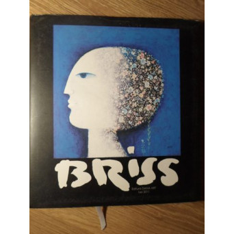 BRISS. ALBUM DE ARTA