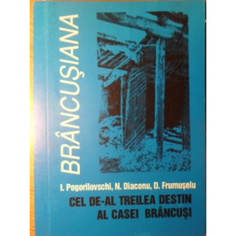CEL DE-AL TREILEA DESTIN AL CASEI BRANCUSI