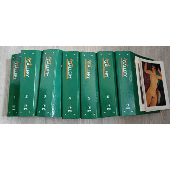 COLECTIA ART GALLERY. VIATA SI OPERELE MARILOR PROTAGONISTI AI ARTEI. 82 REVISTE - 7 BIBLIORAFTURI