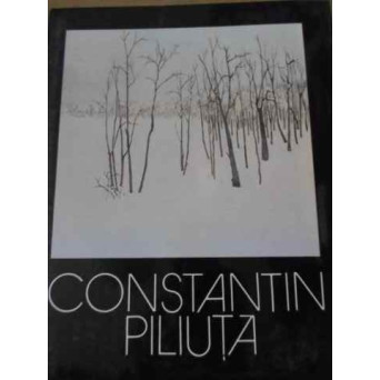 CONSTANTIN PILIUTA, PEISAJELE AMINTIRII