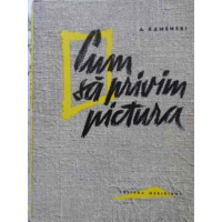 CUM SA PRIVIM PICTURA