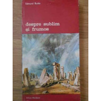DESPRE SUBLIM SI FRUMOS DESPRE SUBLIM SI FRUMOS