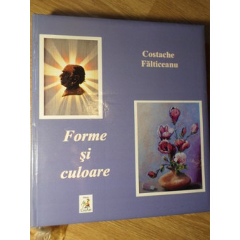 FORME SI CULOARE. ALBUM DE ARTA
