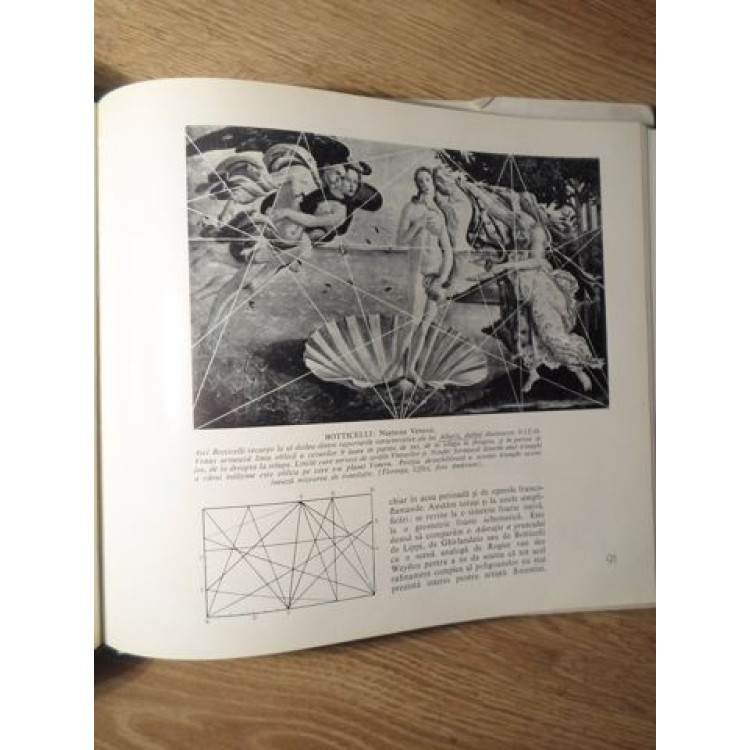 Cartea GEOMETRIA SECRETA A PICTORILOR scrisa de CHARLES BOULEAU