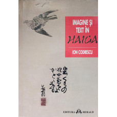 IMAGINE SI TEXT IN HAIGA