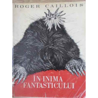IN INIMA FANTASTICULUI