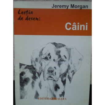 LECTIA DE DESEN: CAINI