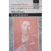 PE URMELE LUI STEFAN LUCHIAN PE URMELE LUI STEFAN LUCHIAN