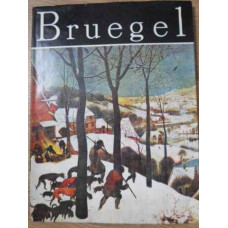 PIETER BRUEGEL. ALBUM DE ARTA