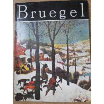 PIETER BRUEGEL. ALBUM DE ARTA