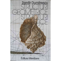STRUCTURI GEOMETRICE. STRUCTURI PLASTICE STRUCTURI GEOMETRICE. STRUCTURI PLASTICE
