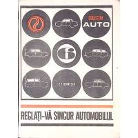 REGLATI-VA SINGUR AUTOMOBILUL REGLATI-VA SINGUR AUTOMOBILUL