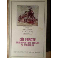 CAI FERATE. TRANSPORTURI CLASICE SI MODERNE