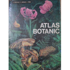 ATLAS BOTANIC