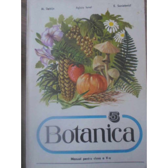 BOTANICA. MANUAL PENTRU CLASA A V-A