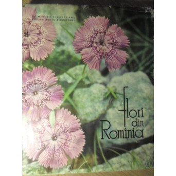 FLORI DIN ROMANIA
