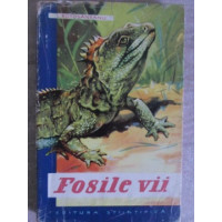 FOSILE VII FOSILE VII
