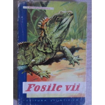 FOSILE VII