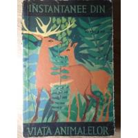 INSTANTANEE DIN VIATA ANIMALELOR INSTANTANEE DIN VIATA ANIMALELOR
