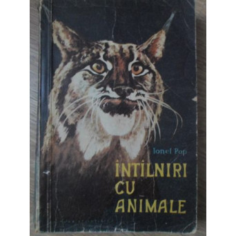 INTALNIRI CU ANIMALE