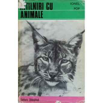 INTALNIRI CU ANIMALE